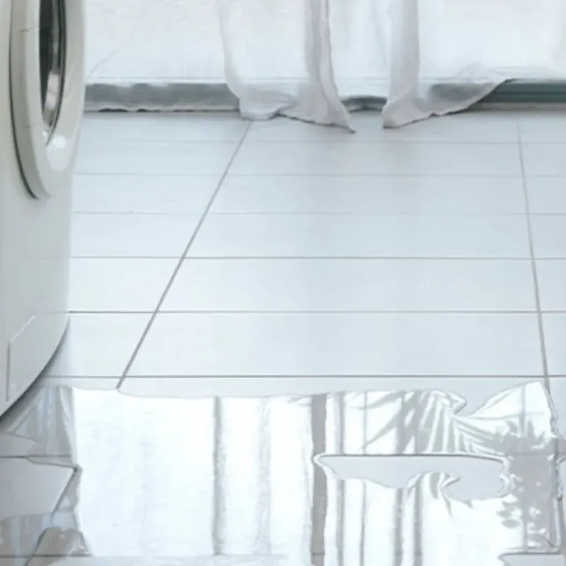 Appliance Leak Cleanup in Northcliff, TX