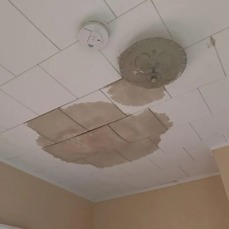 Ceiling Water Damage Repair in Northcliff, TX