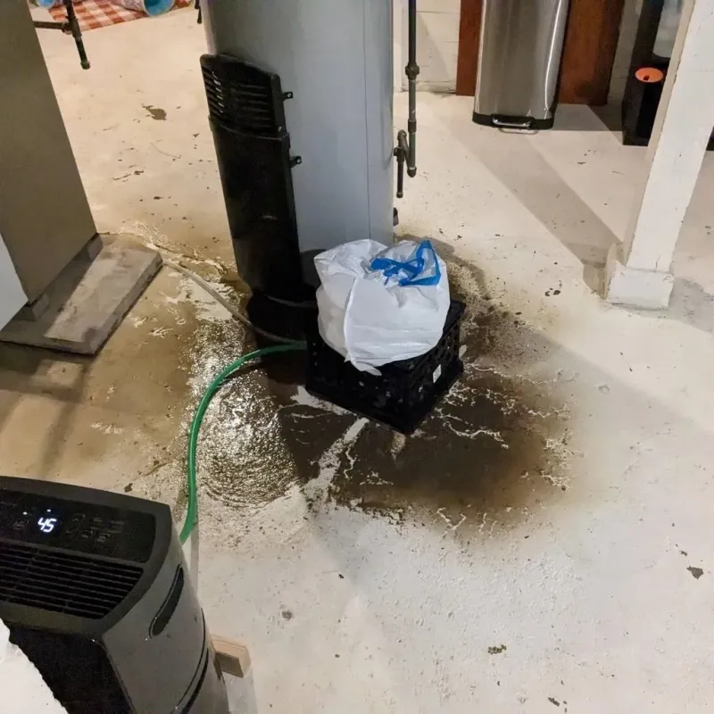 Sewage Backup Cleanup Service in Northcliff, TX